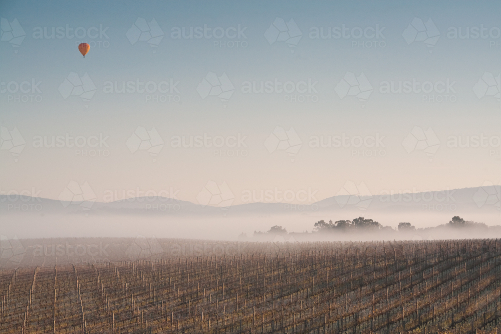 Hot Air Balloon at Sunrise over the Yarra Valley In Winter - Australian Stock Image