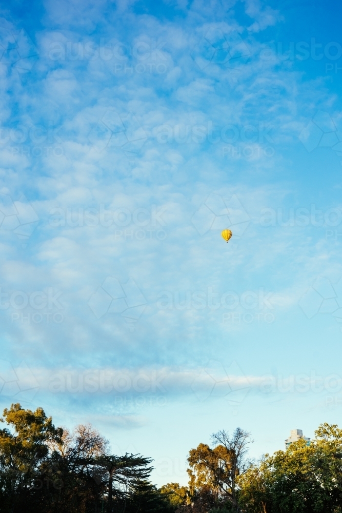 Hot Air Balloon on blue sky and trees - Australian Stock Image