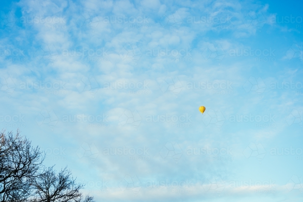 Hot Air Balloon on blue sky and trees - Australian Stock Image