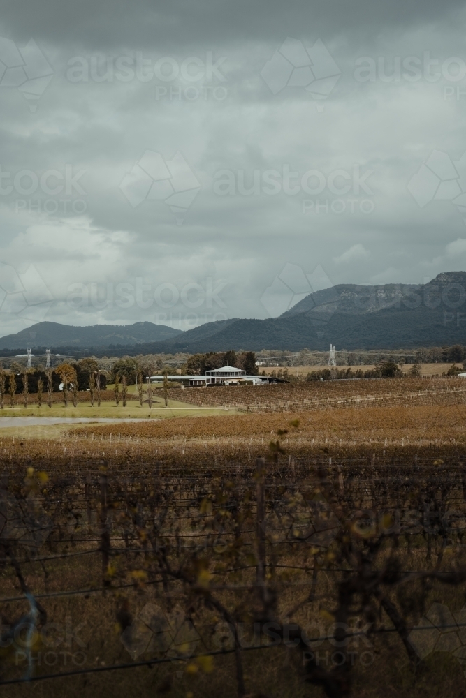 House surrounded by grapevines on a vineyard with mountains in the background - Australian Stock Image