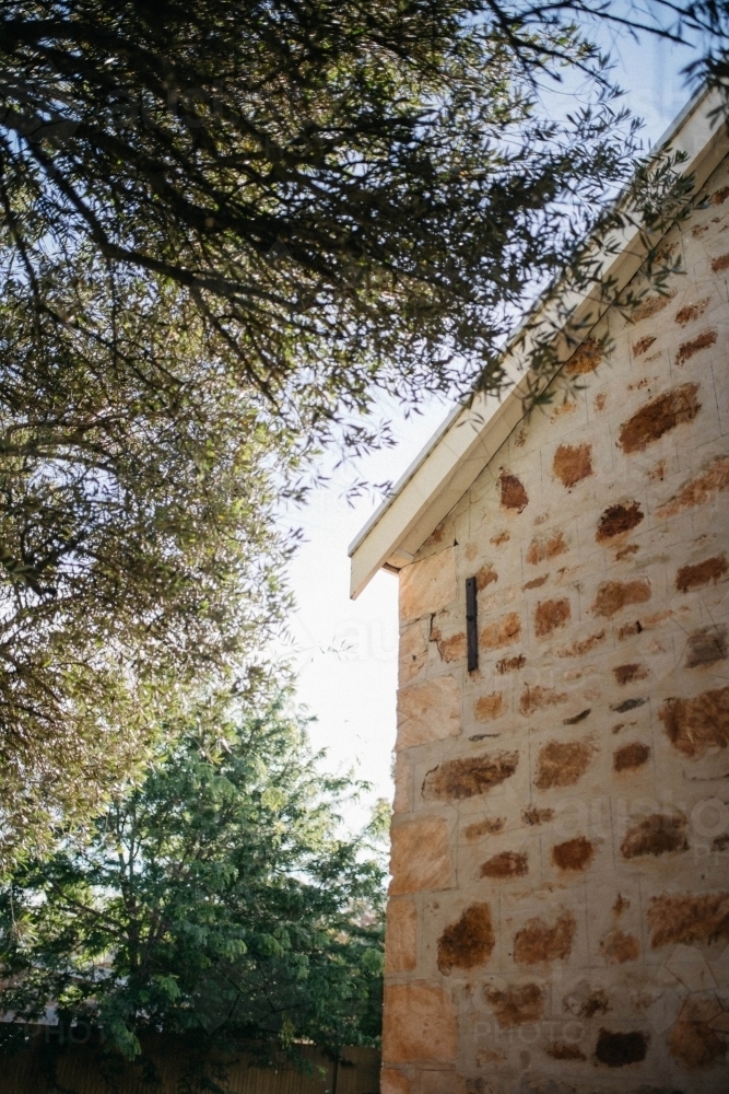 House wall trees and twigs - Australian Stock Image