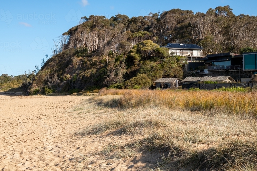 Houses nestled in bush on beach - Australian Stock Image