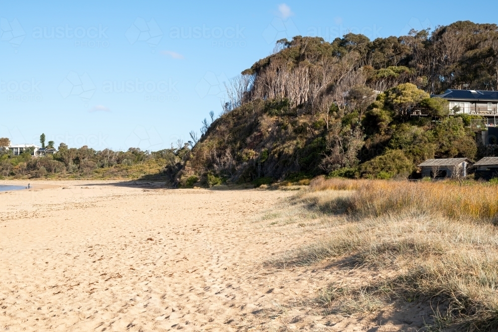 Houses nestled in bush on beach - Australian Stock Image