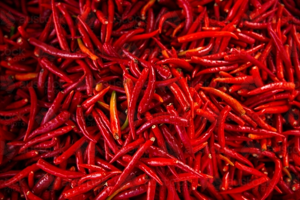 hundreds of spicy red chillies for sale - Australian Stock Image