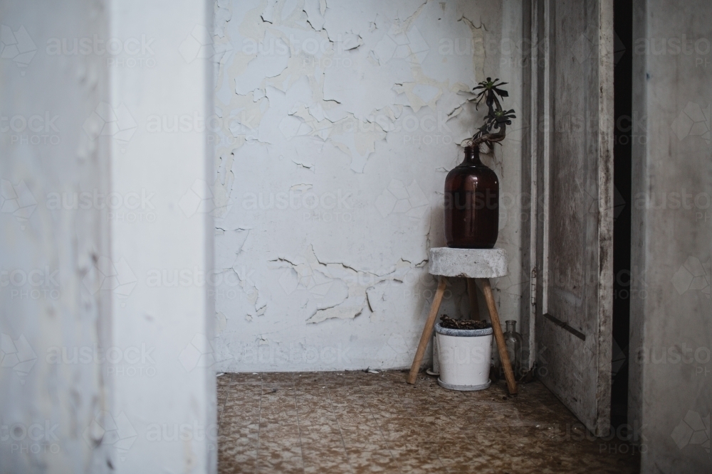 indoor plant in lobby of derelict apartment building - Australian Stock Image