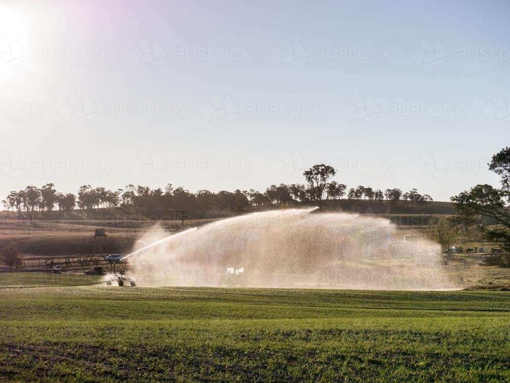 Irrigation spray on a young barley crop near Armidale - Australian Stock Image