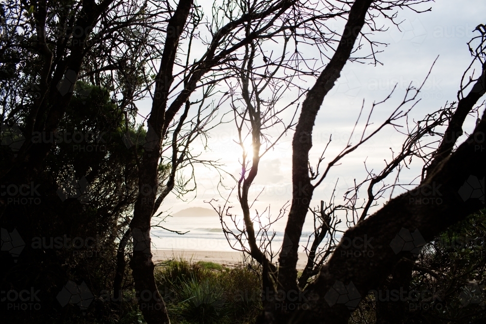 Island through the trees - Australian Stock Image