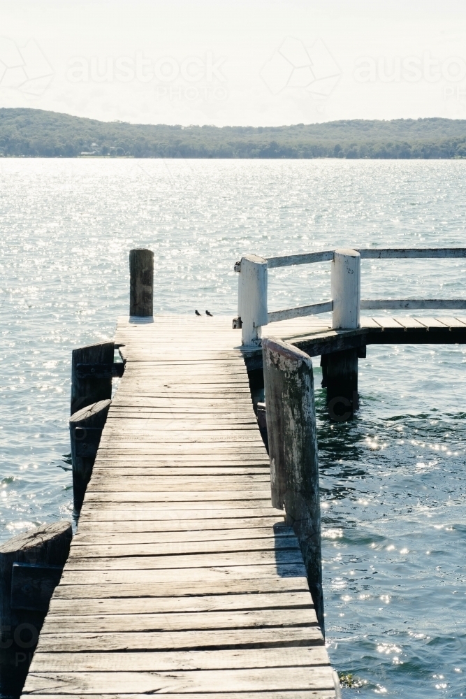 Jetty and two tiny birds - Australian Stock Image