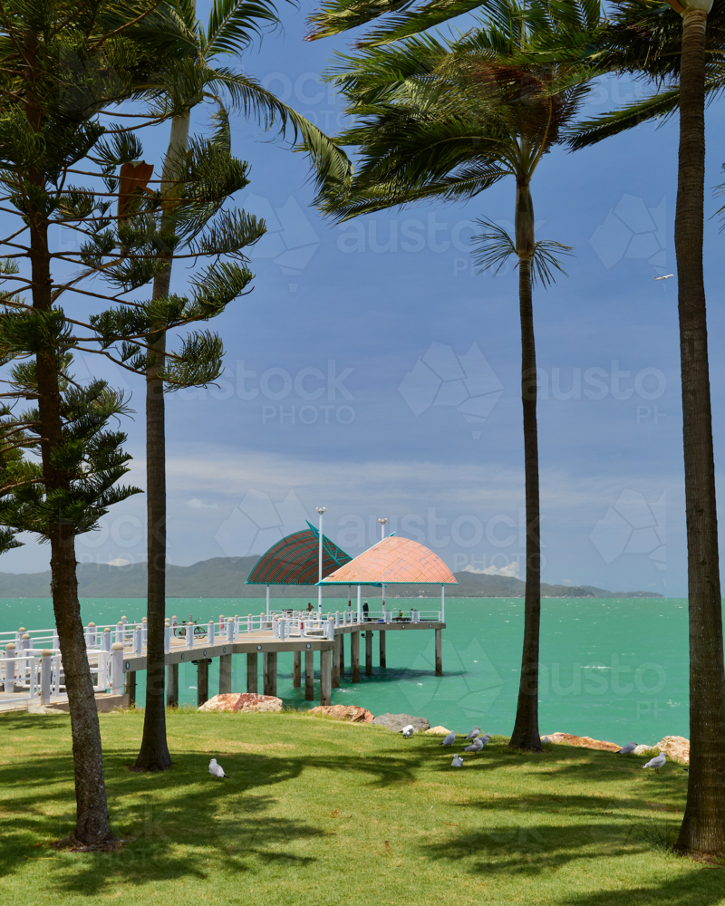 Jetty framed by palm trees, Townsville. - Australian Stock Image