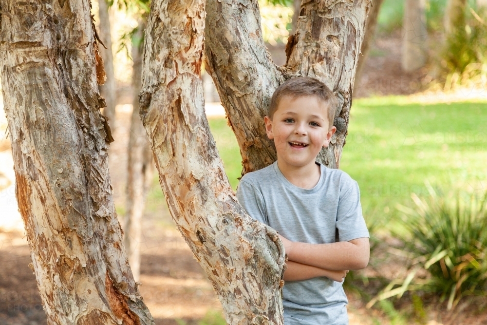 Kid in paper bark tree at park - Australian Stock Image