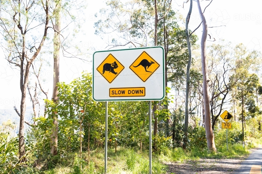 Image of koala and kangaroo road signs - Austockphoto