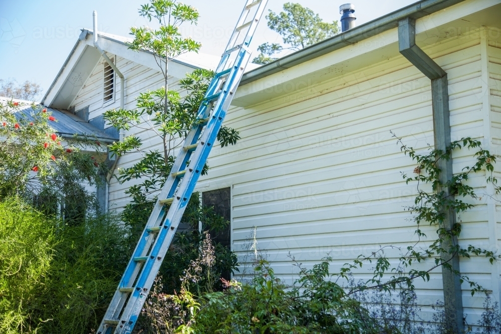 Ladder leaning against the side of a house - Australian Stock Image