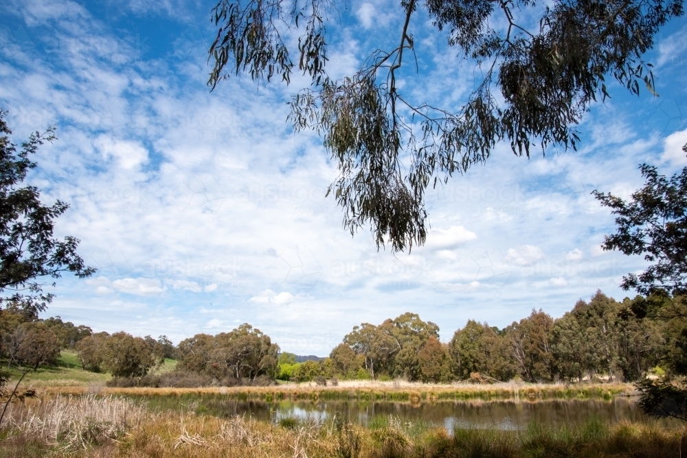 Lake Canobolas on a sunny day - Australian Stock Image