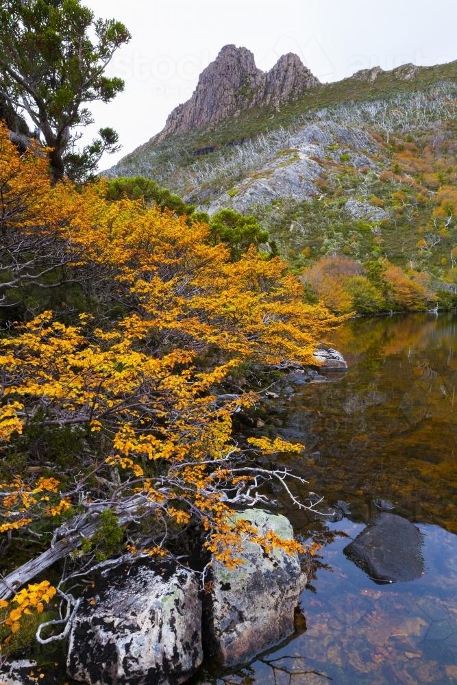 Lake Wilks below Cradle Mountain - Australian Stock Image