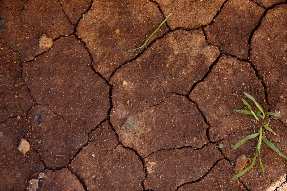 Land with broken soil - Australian Stock Image