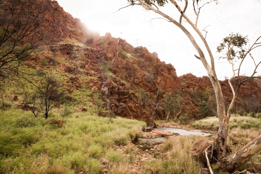 Landscape of Ross River with grass and trees on a sunny day - Australian Stock Image