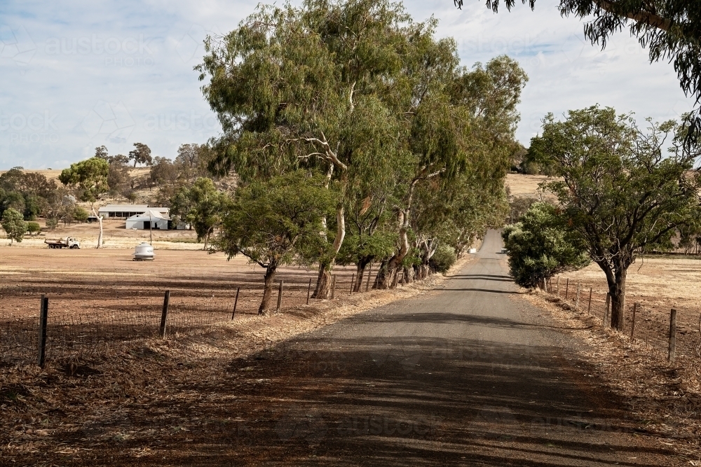 Landscape view of road and farm - Australian Stock Image