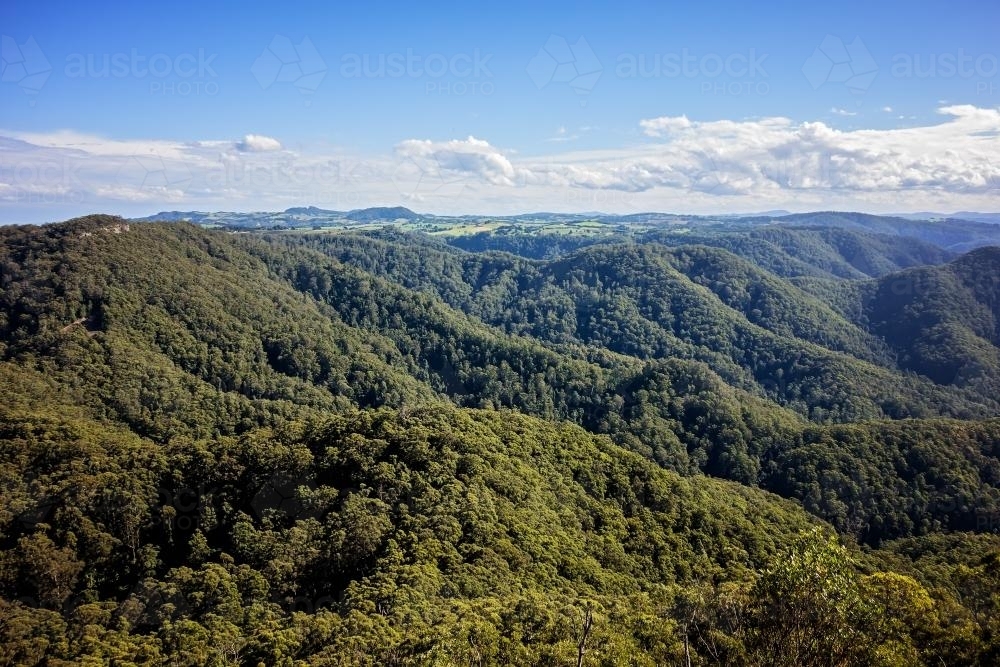 Landscape view of rolling green tree covered hills - Australian Stock Image