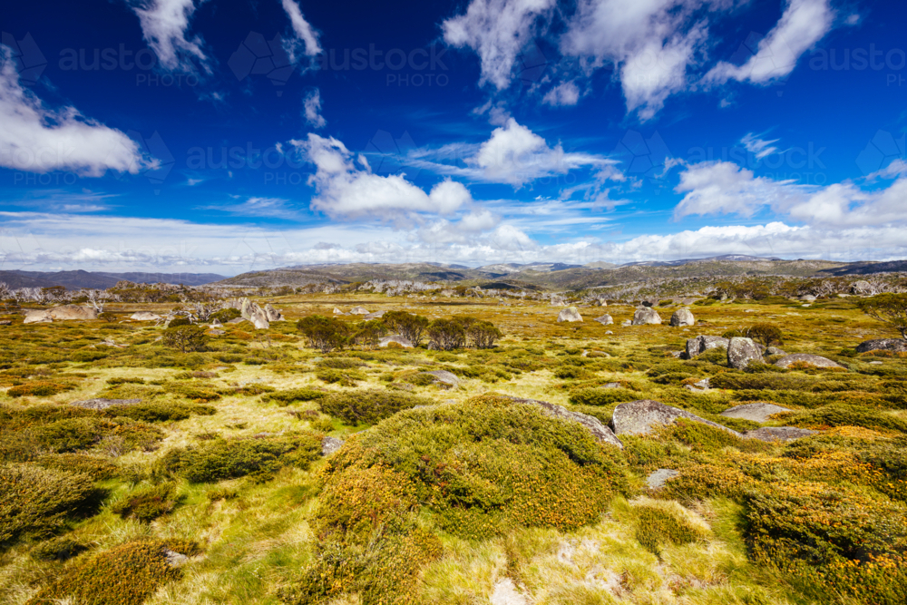 Landscape views along the Porcupine Walking Track on a summer's day in Kosciuszko National Park - Australian Stock Image