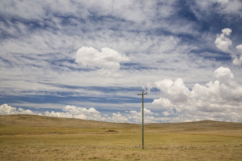 Landscape with low voltage electricity poles in open grassy paddocks with sky and cloud pattern - Australian Stock Image