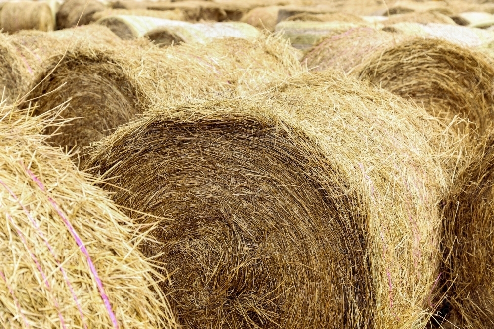 Large hay bales delivered and stacked for drought relief. - Australian Stock Image