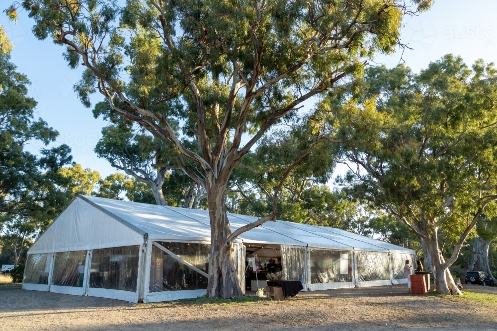 Large party banquet marquee among gumtrees on a farm. - Australian Stock Image