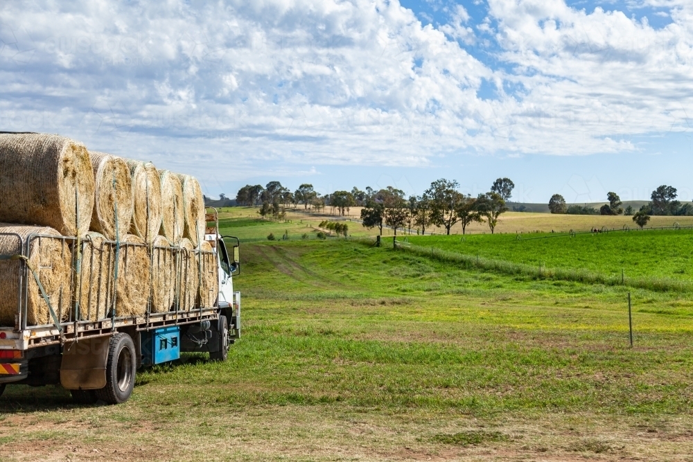 Large round hay bales loaded on semi-trailer in paddock - Australian Stock Image