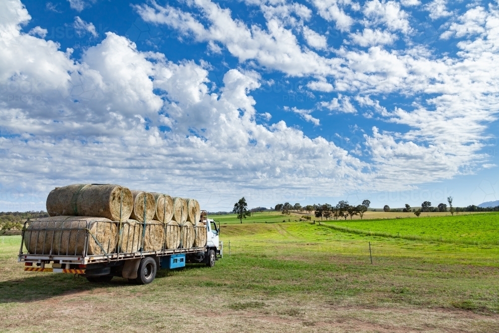 Large round hay bales loaded on semi-trailer in paddock - Australian Stock Image