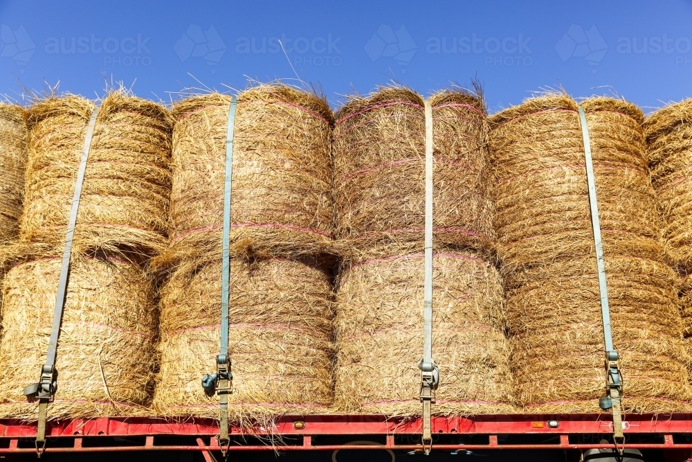 Large round hay bales on semi-trailer heading to drought affected areas of QLD. - Australian Stock Image