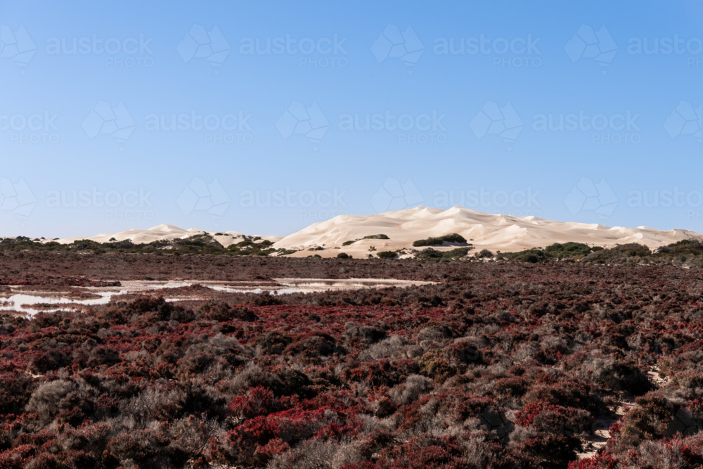 Large sand dune and salt flats, Cactus Beach, South Australia - Australian Stock Image