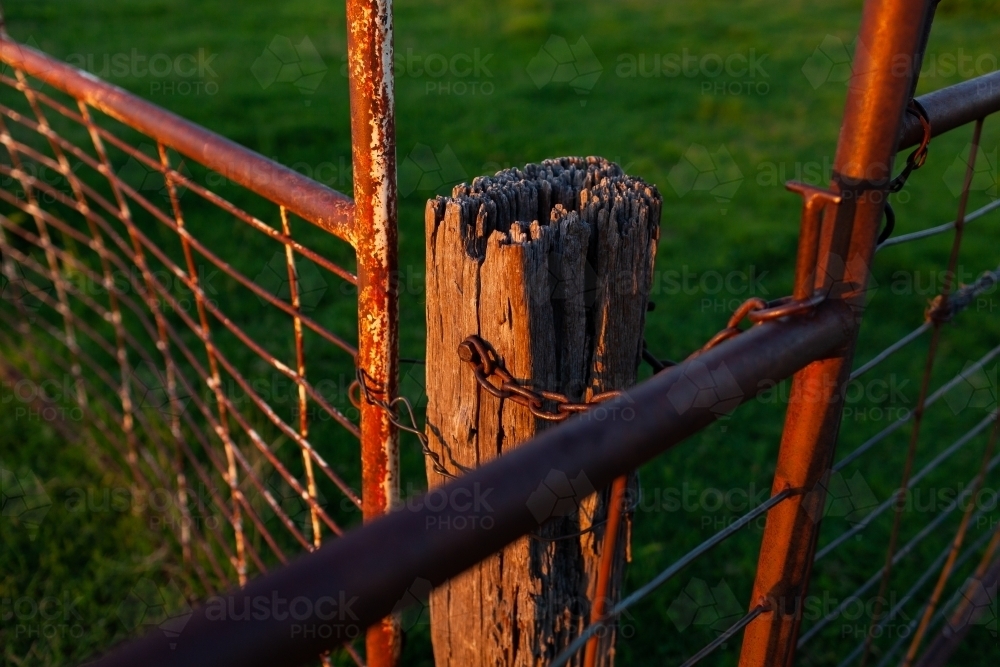 last warm sunlight on old farm fence post and metal gate and chain - Australian Stock Image