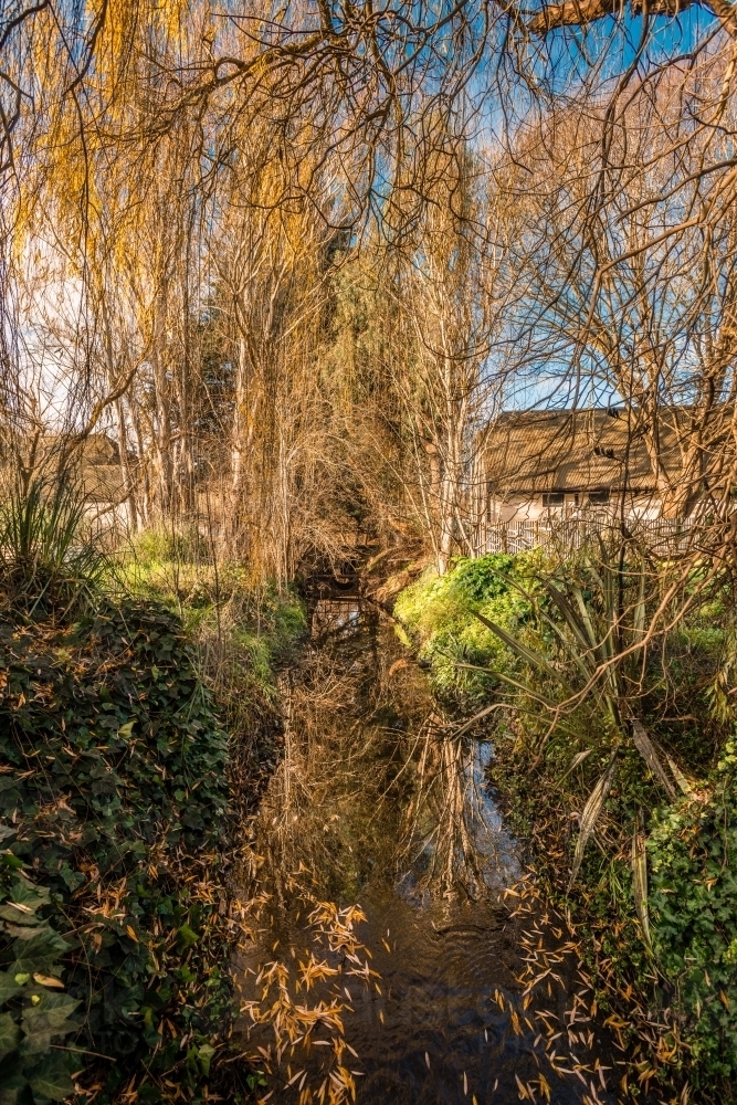 late autumn scene of a rural garden, with stream - Australian Stock Image