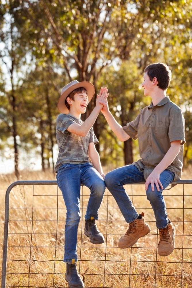 laughing brothers sitting on farm paddock gate giving one another a high five - Australian Stock Image