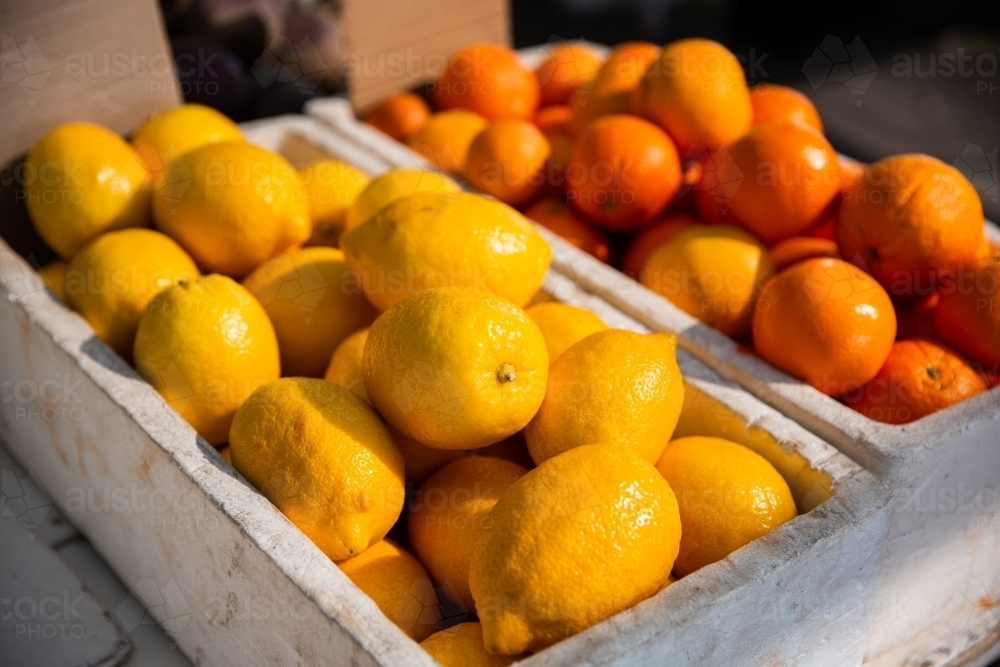 lemons and oranges for sale at the markets - Australian Stock Image