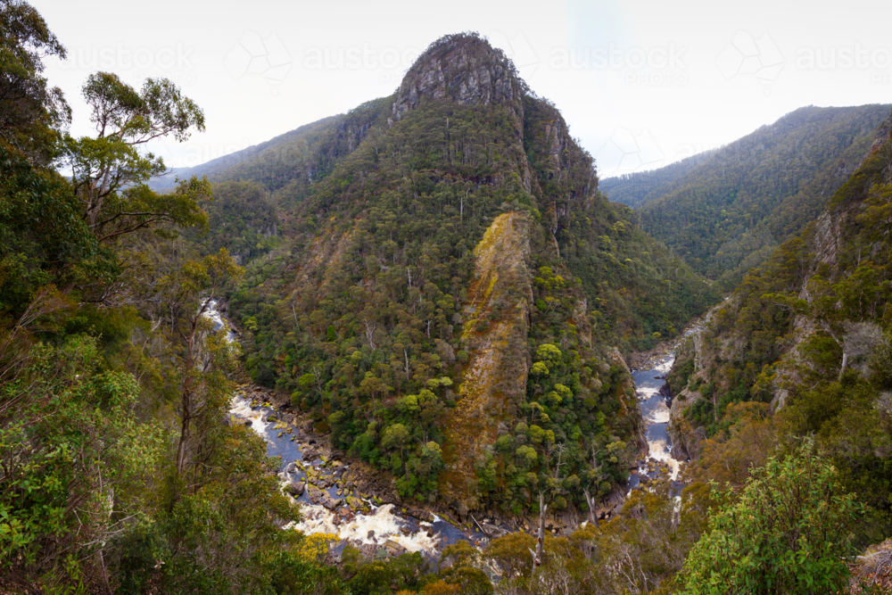 Leven Canyon - Tasmania - Australian Stock Image