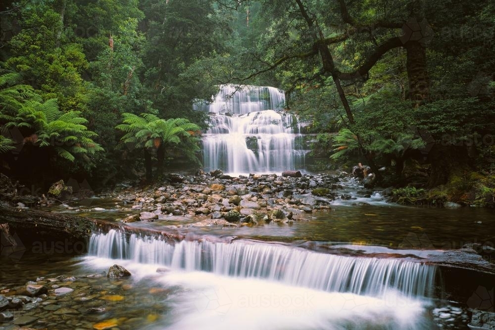 Liffey Falls - Australian Stock Image