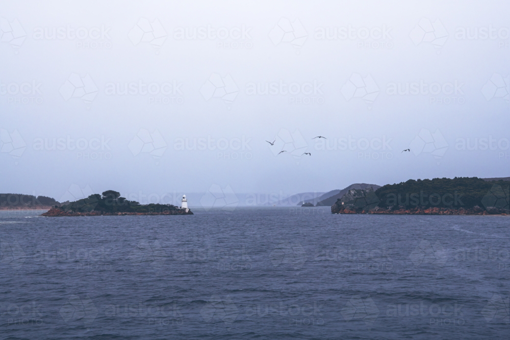 Lighthouse on island with birds flying in harbour entrance, Tasmania - Australian Stock Image