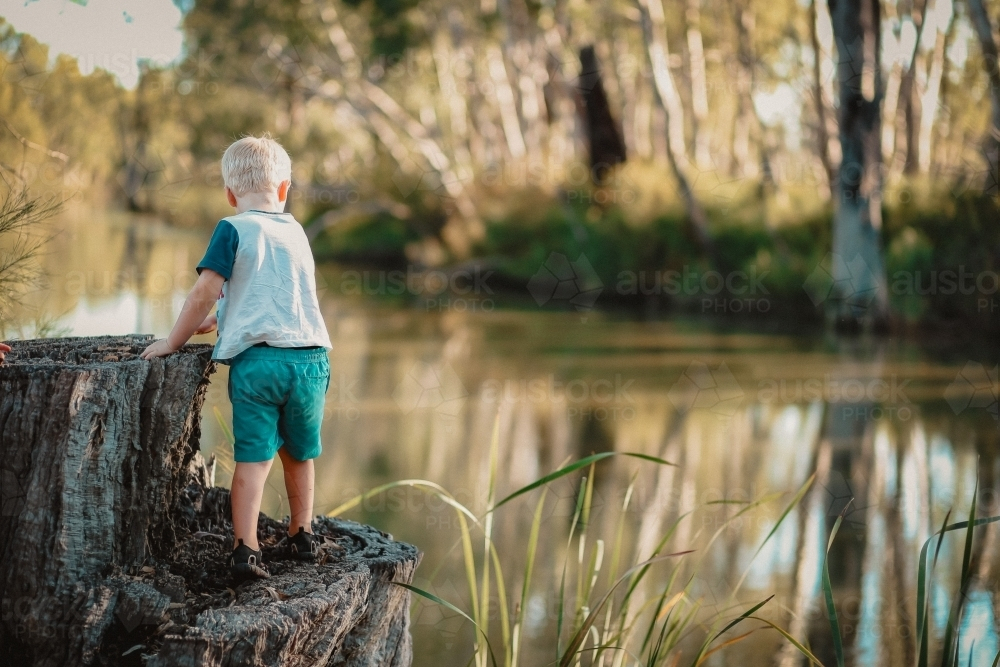 Little boy climbing on tree stump beside creek in the Australian bush - Australian Stock Image
