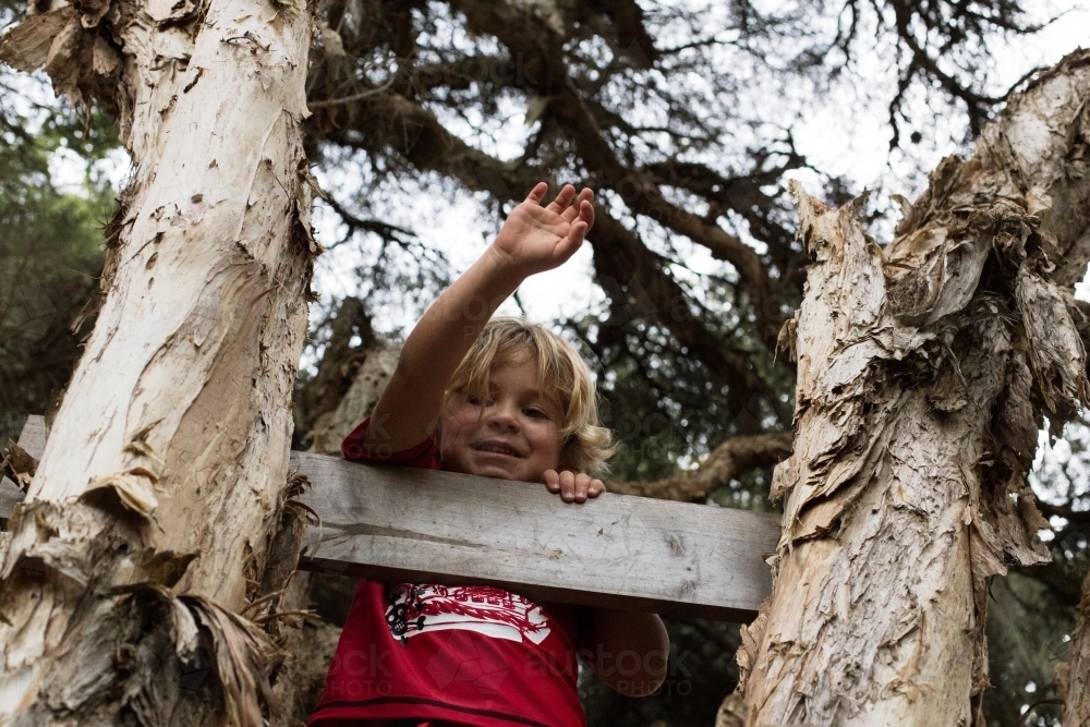 Little boy up in a tree house, waving to camera below - Australian Stock Image