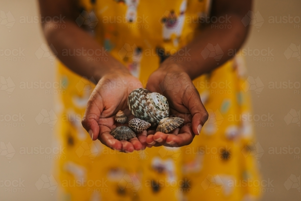 Little girl holding seashells in her hands - Australian Stock Image