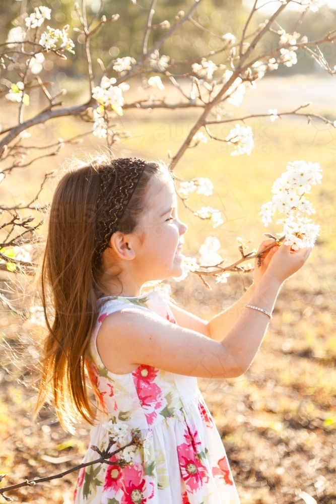 Little girl laughing in garden with spring blossoms - Australian Stock Image