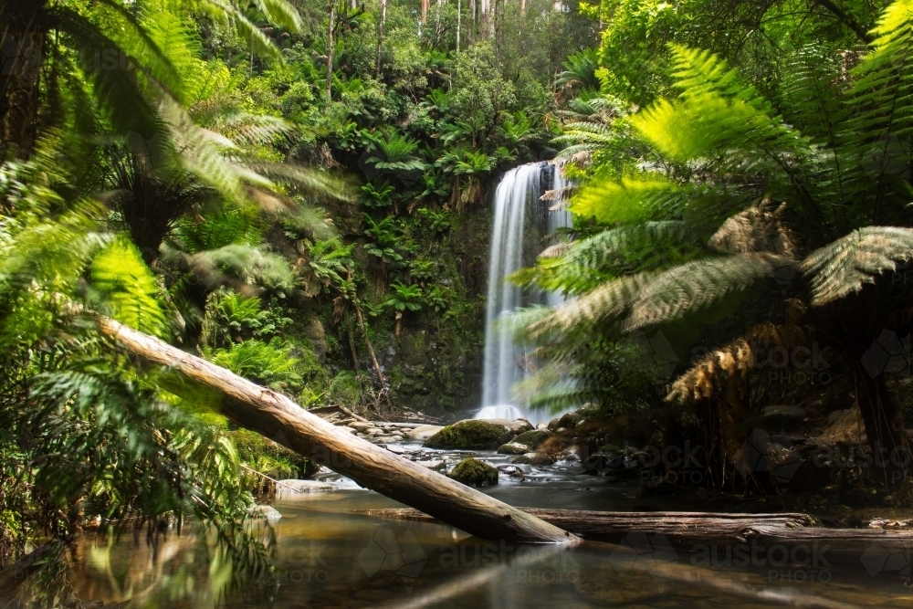 Long Exposure ND filter shot of Beauchamp Falls in Great Otway National Park Victoria - Australian Stock Image