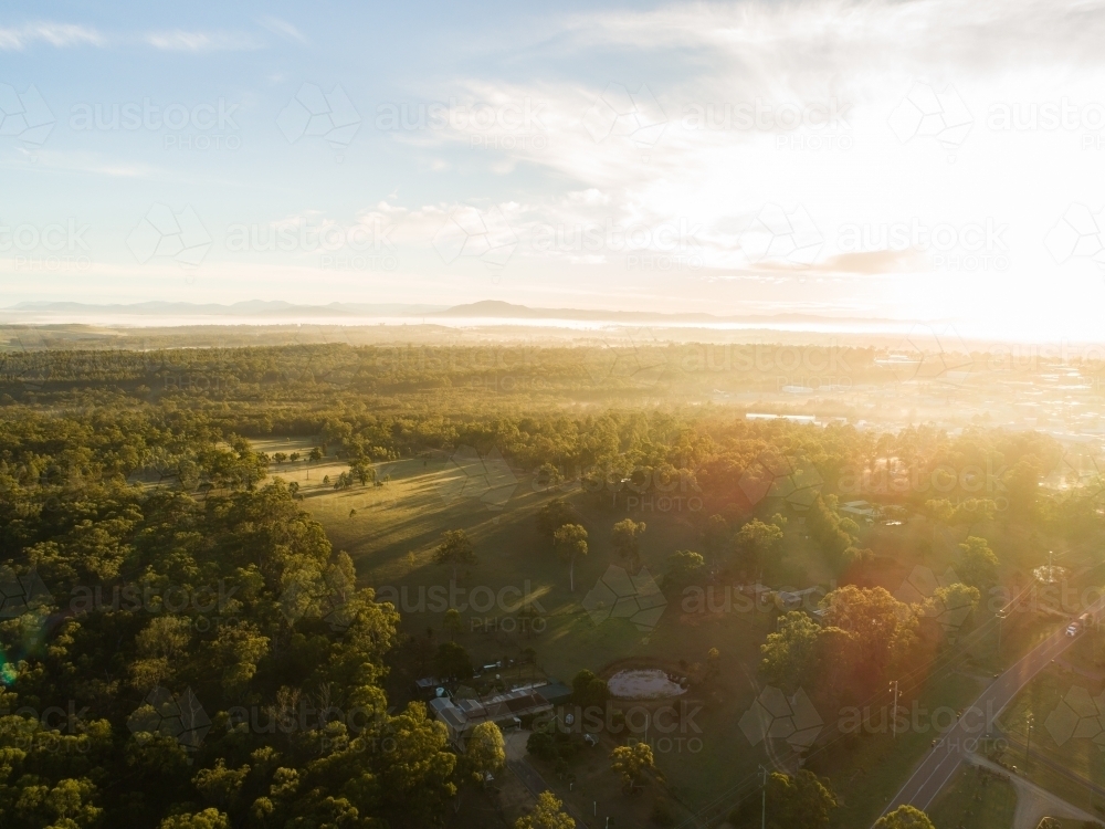 Long shadows of trees in paddock surrounded by forest at edge of town at sunrise - Australian Stock Image