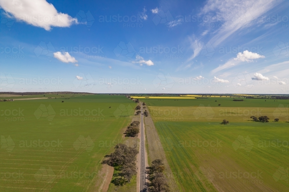 Long straight road though farm fields - Australian Stock Image