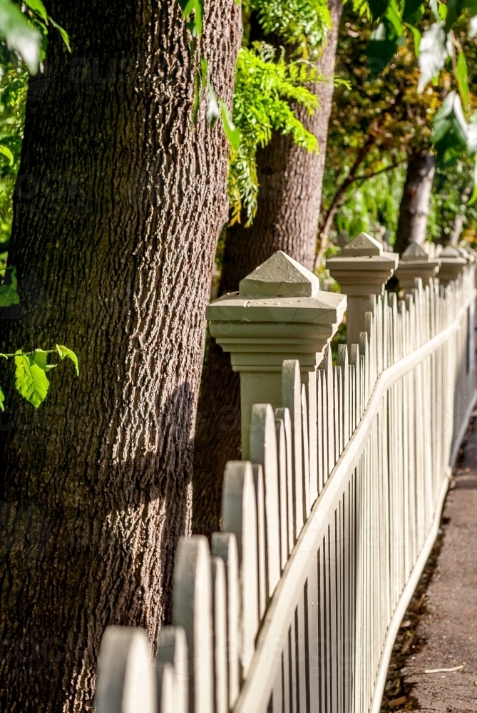 Looking along picket fence beside trees in urban South Hobart - Australian Stock Image