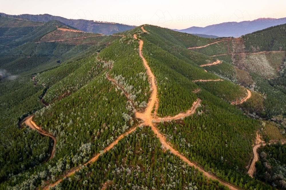 Looking down at green mountains filled with pine trees and dirt tracks - Australian Stock Image