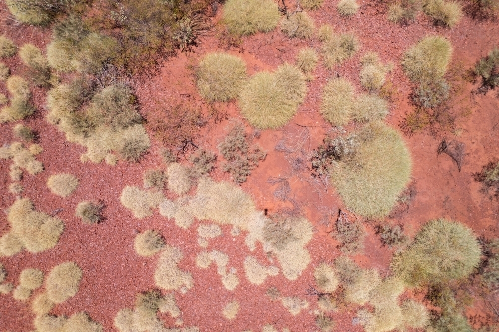 Looking down from a lower angle seeing only the red Australian outback dirt and speckles of bushes i - Australian Stock Image