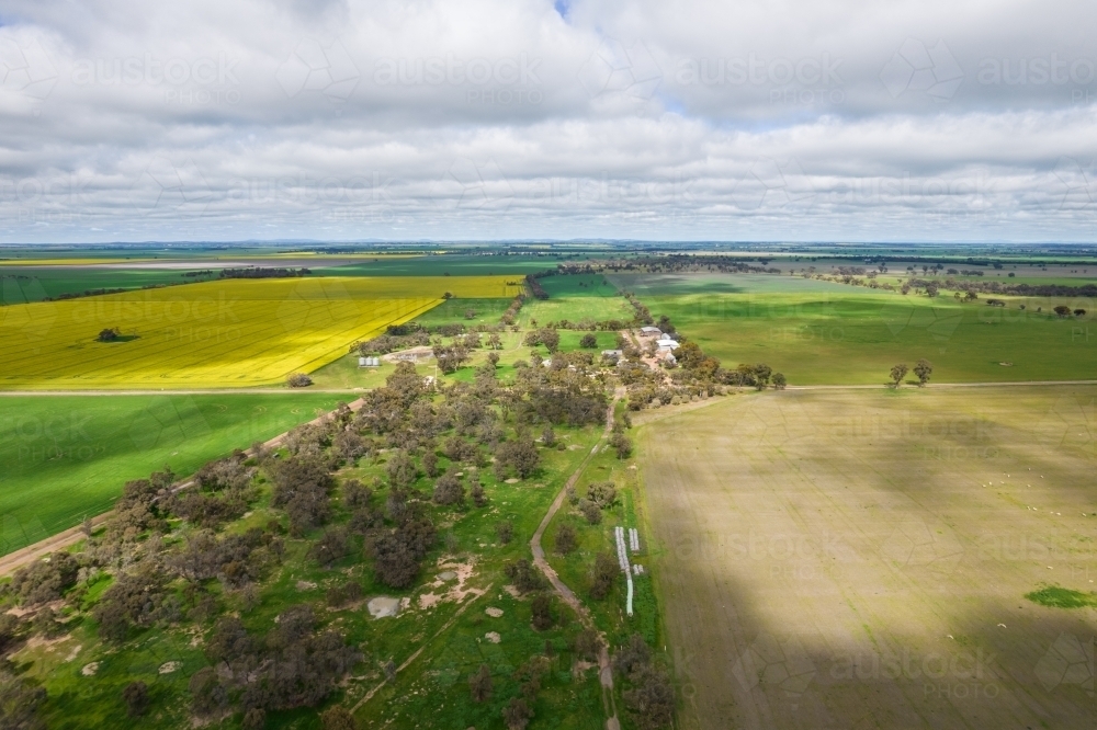 Looking down on canola, wheat and other grain crops in the Mallee. - Australian Stock Image