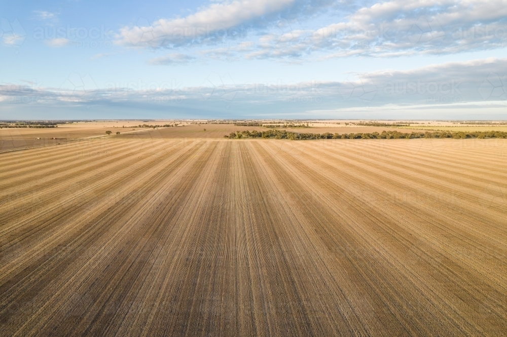 Looking down on fields of new crops in a new season on an early morning - Australian Stock Image
