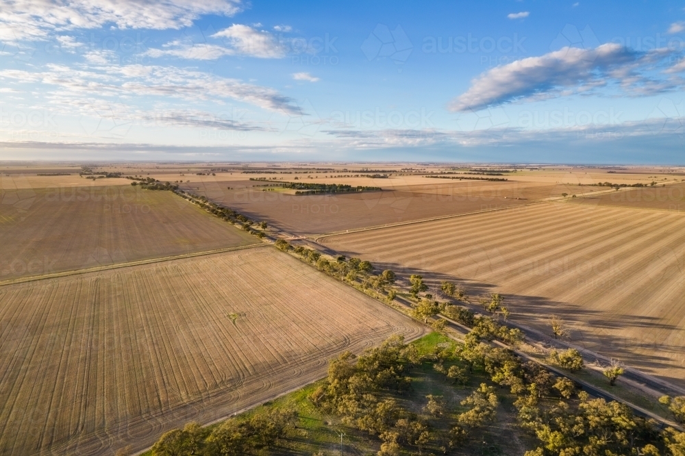 Looking down on fields of new crops in a new season on an early morning - Australian Stock Image